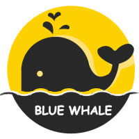 蓝鲸鱼回收