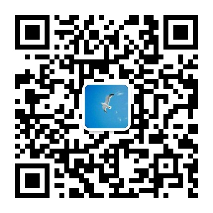 一分一块红中麻将群二维码