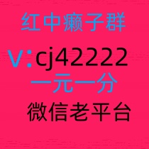  谁有5毛1块的红中麻将群，跑得快群