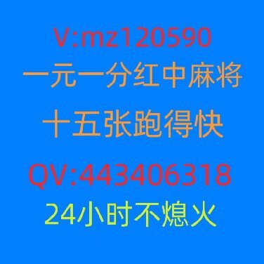 在哪找24小时一元一分红中麻将群@2024已更新