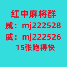  谁来听正规一元一分跑得快微信群哔哩/哔哩