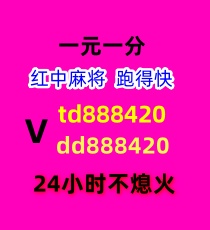 全天火爆一元一分红中麻将群2024已更新微信群