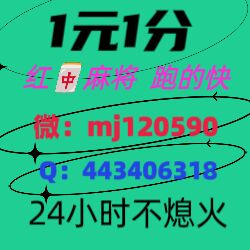 重大发现正规一元一分微信红中麻将群