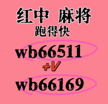 一元一分红中麻将的宝藏，等你来挖掘