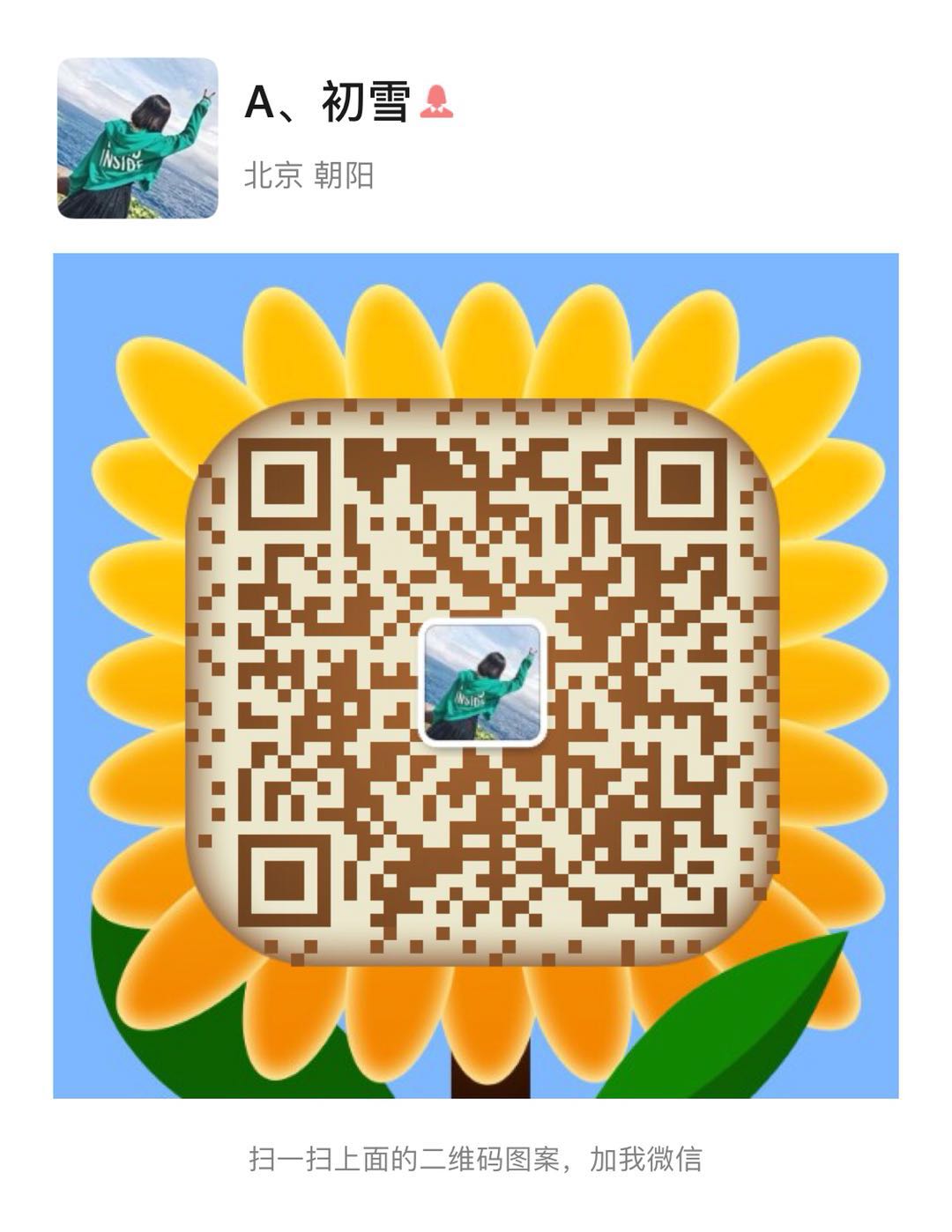 斗牛群 哪有斗牛群？免押斗牛群