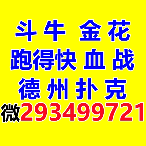 血战麻将群一元一分跑得快群手机麻将群斗牛群金华群德州扑克微信群