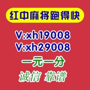 哪里有24小时一元麻将群