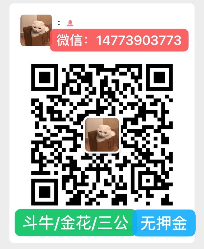 牛牛群-牛牛群牛牛微信群