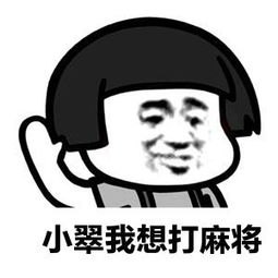 红中一元一分麻将群（闲来麻将）