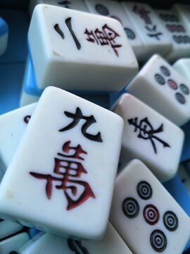 玩熊猫麻将群的找我
