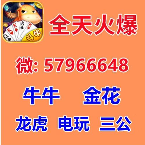 斗牛群金花群一元一分