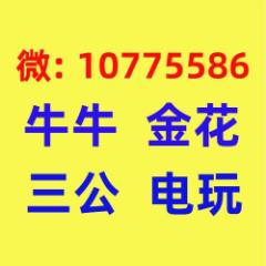 斗牛群金花群一分一块