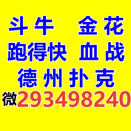 斗牛群.金花群,跑得快群,血战麻将群德州扑克微信群四川麻将群