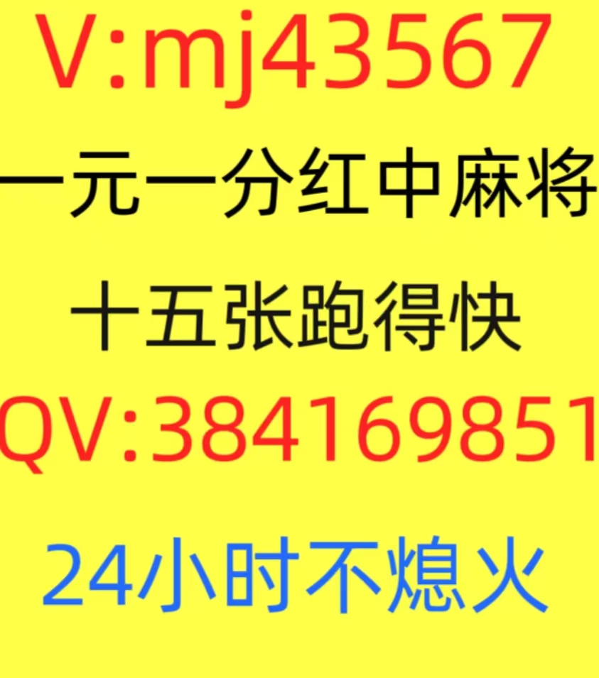 哪里有24小时一元一分红中麻将群哦