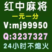 带你了解真是玩家一元一分红中麻将群小红书性价比最高