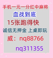 玩家必看一元一分红中麻将24小时在线