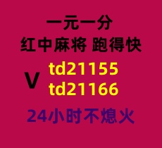 天天喜讯一元一分红中麻将群2025已更新微信群