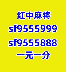 sf9555888