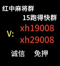 一元广东红中赖子麻将群