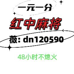 (我来教大家)一元一分上下分正规红中麻将群2024(哔哩哔哩)