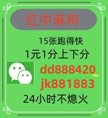 最火的谁有24小时1分1块红中麻将微信群