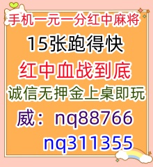 乐在其中一元一分#红中麻将已全面升级