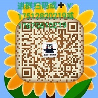 一元一分微信麻将群