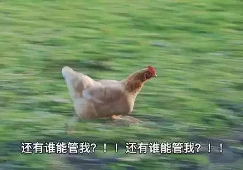 怎样跑得快？收下这份跑得快攻略宝典就可以了