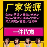 8000家一手货源号专业货源5年