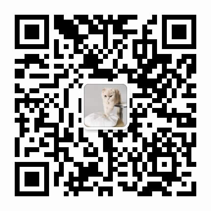 铲屎官的小鱼干