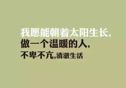 经典微商励志语录盘点，每天起床第一句，先给自己打个气