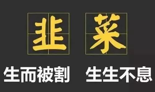 什么是割韭菜式营销？2020到来，割韭菜还能“收割”吗