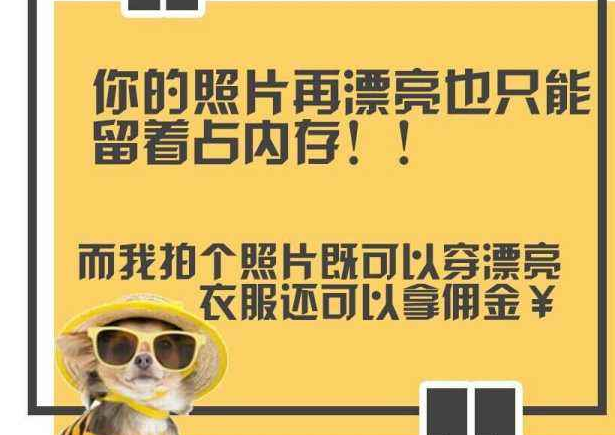 网拍是个什么样的职业？当心你进进的网拍微信群！