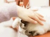 微信「拍一拍」的正确用法和心理学依据