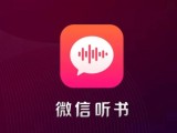 「微信听书」上线，支持「音频号」开通