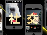 微信视频号的本质是“社交属性”