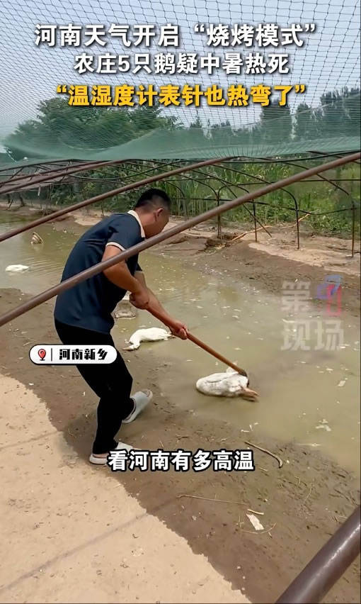 「鹅水塘热死」河南高温预警连发百条 陕西地表飙72.9℃
