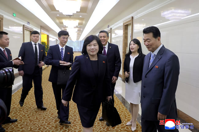 为习近平出席平壤阅兵铺路？北韩外长崔善姬抵达北京