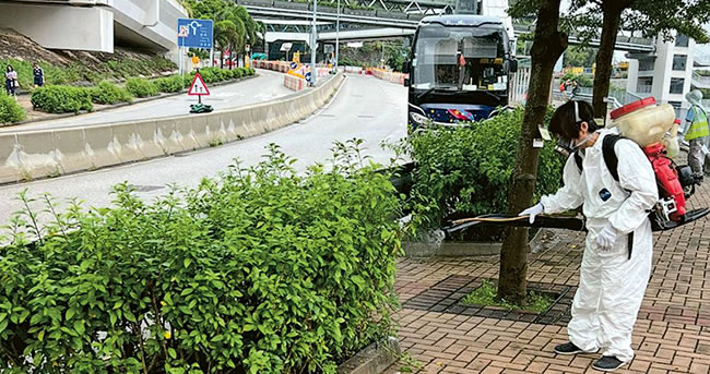 港出现首宗屈公病本地个案 恐波及万名居民
