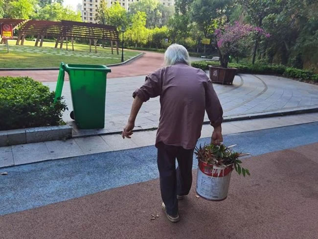 湖北「最孤独动物园」 85岁园长1人管理 网友「云门票」支（一元一分红中麻将群）持