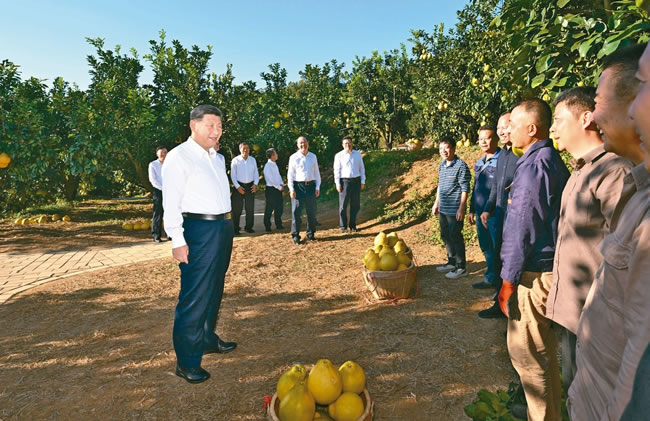 习近平视察粤 促「十五（一元一分红中麻将群）五」挑大梁 完成全年GDP 5％目标