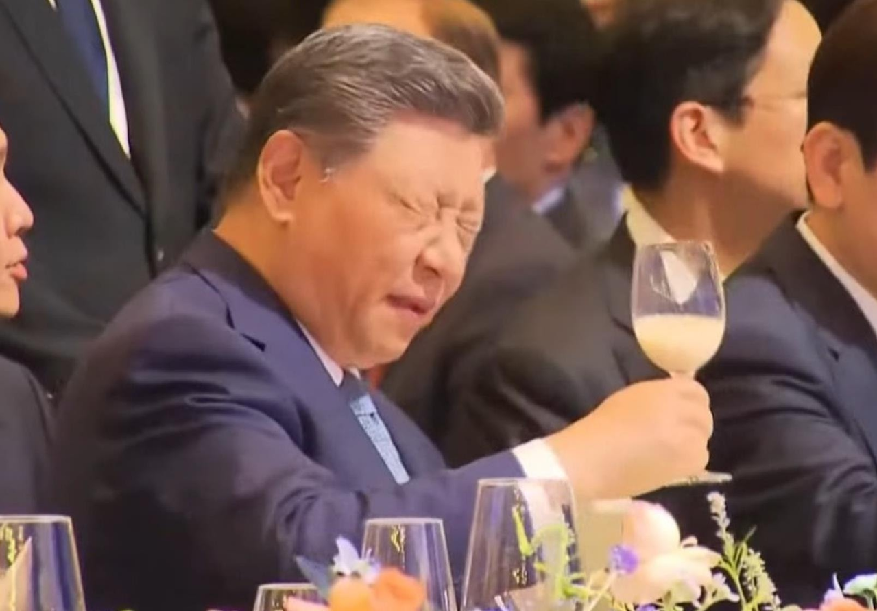 这款酒意外火了…韩宴饮马格利酒 习近平痛苦表情包（正规一元一分麻将群）疯传