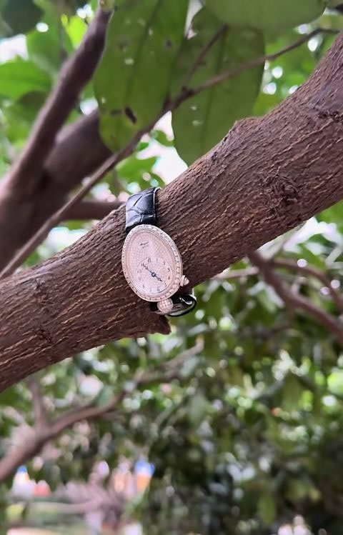 长沙女弄丢30万名表 苦寻6天 问路人「表就挂在树上」