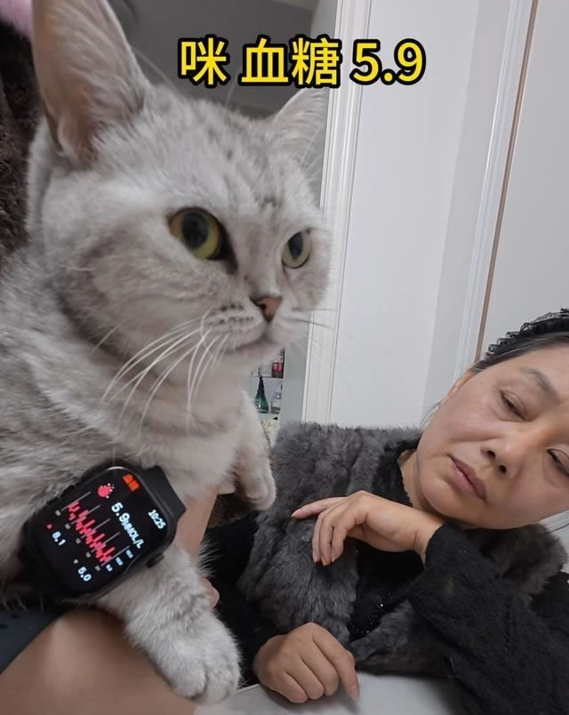 沪老人84元网购 买到「神奇手表」 吸尘器测出血糖7.4